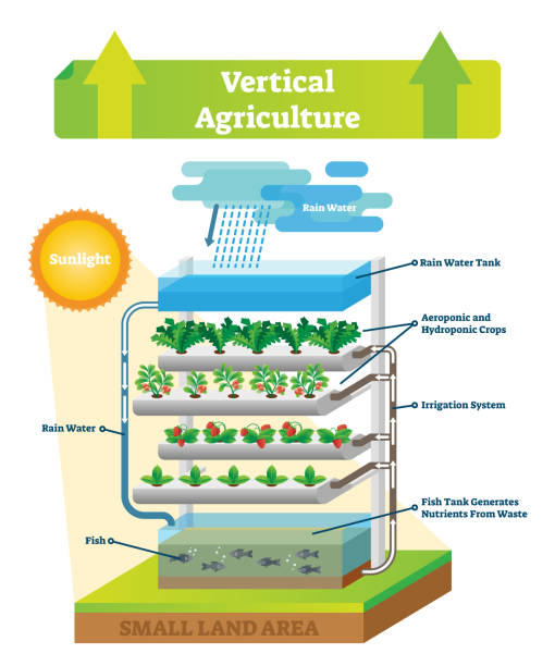 illustrazioni stock, clip art, cartoni animati e icone di tendenza di illustrazione vettoriale dello schema ambientale agricolo verticale. pesce e terra. - nature rain crop europe