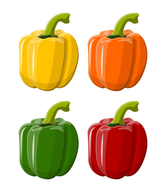 ilustrações, clipart, desenhos animados e ícones de vegetal de sino pimenta isolado no fundo branco - green bell pepper illustrations