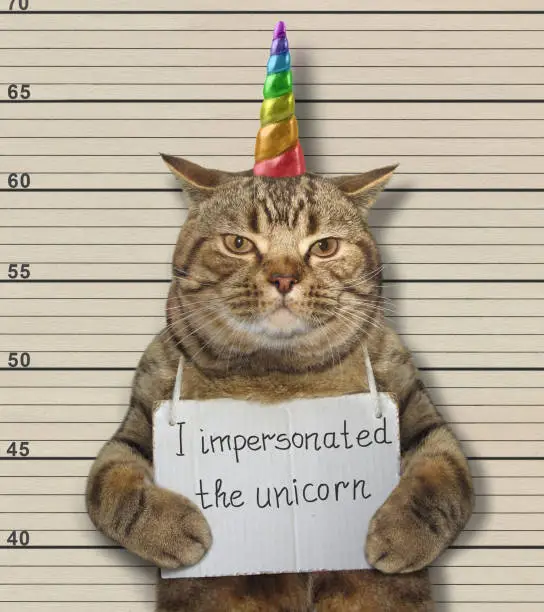 The bad cat impersonated the unicorn. He was arrested for it.