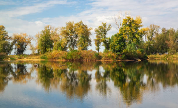istock Tree reflections in the lake in autumn time. Beautiful park 1034176886