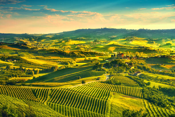 panorama al tramonto dei vigneti delle langhe, grinzane covour, piemonte, italia europa. - provincia di cuneo foto e immagini stock