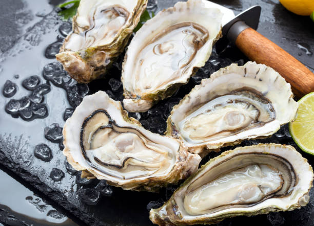 set of oysters set of fresh opened oysters with ice, lemon and knife on black slate background oyster photos stock pictures, royalty-free photos & images