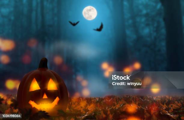 Jack Lantern In The Halloween Night Stock Photo - Download Image Now - Halloween, Backgrounds, Spooky