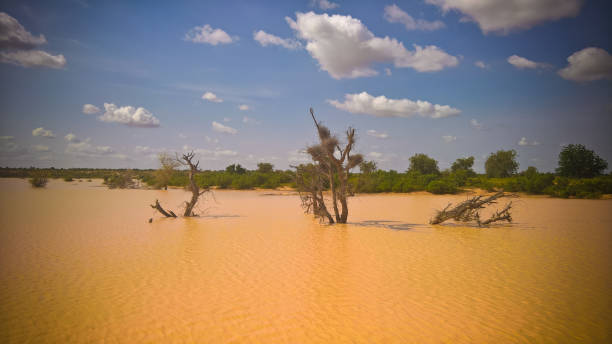 vista de paisaje panorámico al sahel y oasis dogon tabki con el río inundado, dogondoutchi, níger - niger fotografías e imágenes de stock
