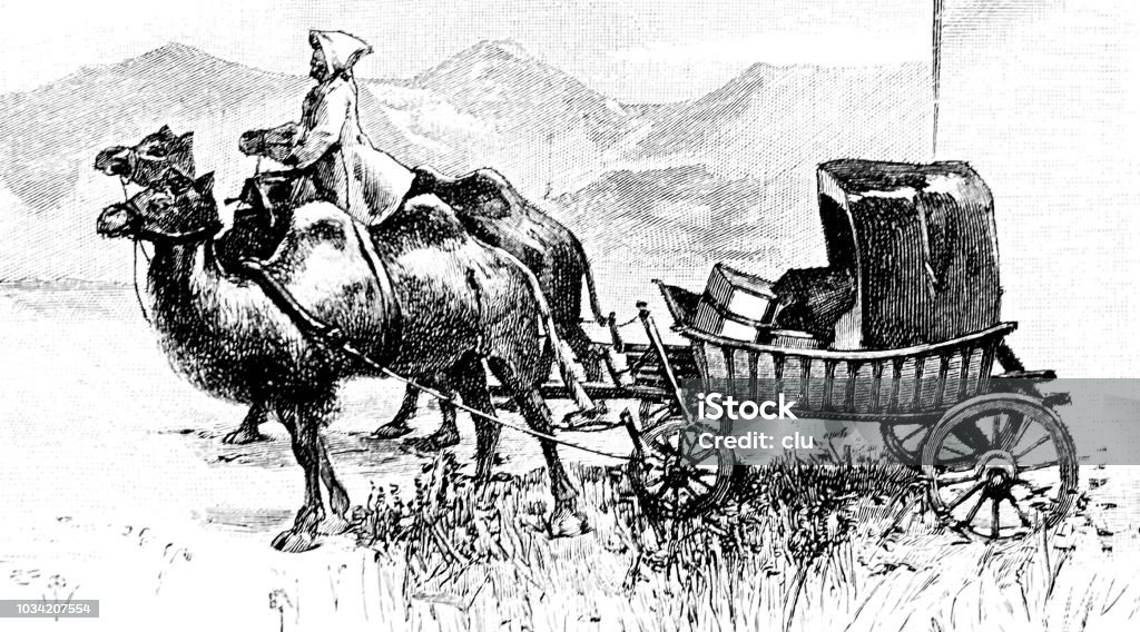 Postal transport with camels Illustration from 19th century 1890-1899 stock illustration