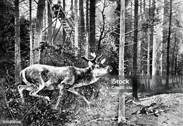 Forester On The High Seat And Wild Animals Stock Illustration - Download Image Now - 1890-1899, 1898, 19th Century