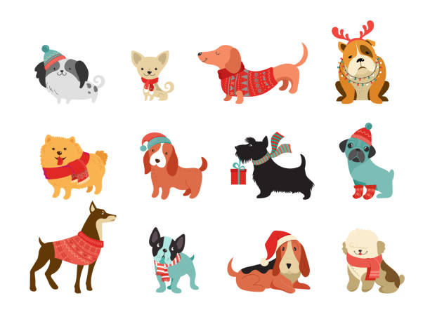 ilustraciones, imágenes clip art, dibujos animados e iconos de stock de colección de perros de navidad, ilustraciones de feliz navidad de mascotas lindas con accesorios como un sombreros gorros tejidos, suéteres, bufandas - animal backgrounds ilustraciones