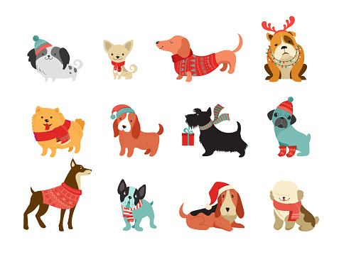 Collection of Christmas dogs, Merry Christmas illustrations of cute pets with accessories like a knited hats, sweaters, scarfs, vector graphic elements