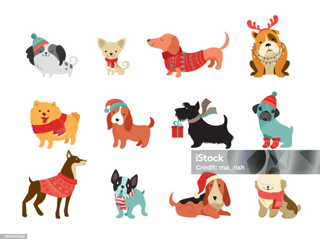 Collection of Christmas dogs, Merry Christmas illustrations of cute pets with accessories like a knited hats, sweaters, scarfs Collection of Christmas dogs, Merry Christmas illustrations of cute pets with accessories like a knited hats, sweaters, scarfs, vector graphic elements Christmas stock vector