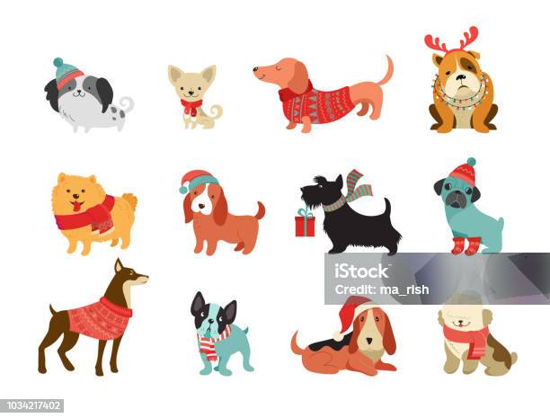 Collection Of Christmas Dogs Merry Christmas Illustrations Of Cute Pets With Accessories Like A Knited Hats Sweaters Scarfs Stock Illustration - Download Image Now