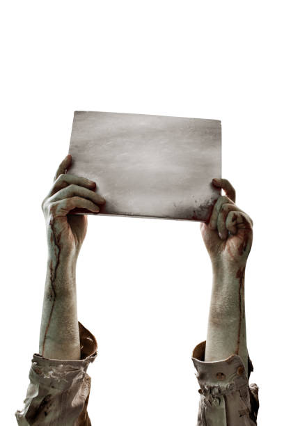 istock Zombie hands holding blank sign isolated on white background 1034224146