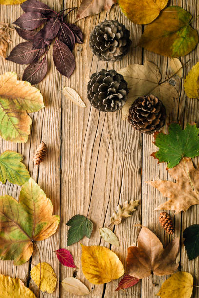 istock Golden autumn, wooden background, frame, copy space, banner 1034224670