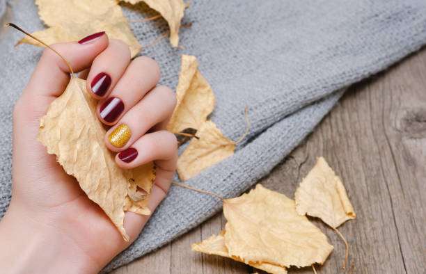 Female hand with dark red nail design Female hand with dark red nail design holding yellow leaves. fall nail art stock pictures, royalty-free photos & images