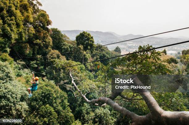 Male Asian Tourist Hanging On Zip Line Over Lush Tropical Forest Stock Photo - Download Image Now