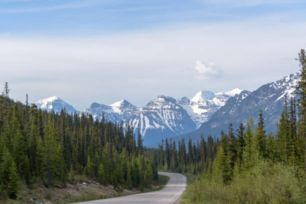 istock Curved Road to Icefields Parkway in Jasper National Park,Canada 1034229360