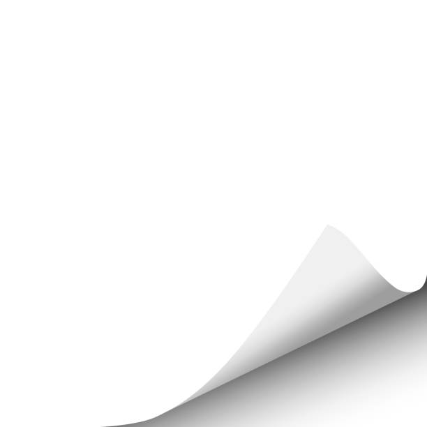 istock Sheet of white paper with curled right corner from the bottom. Template paper design. Vector illustration. 1034233252
