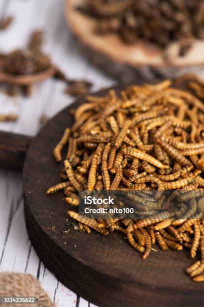 Edible Fried Worms And Crickets Stock Photo - Download Image Now - Appetizer, Asian Food, Barbeque Sauce