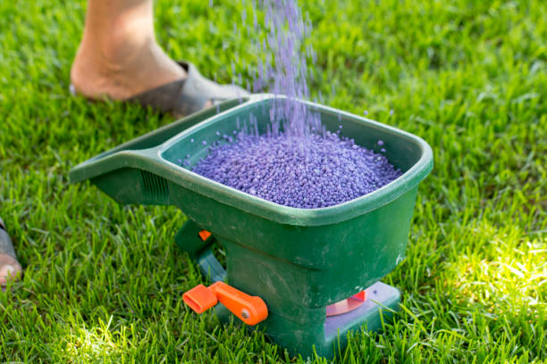 Manual fertilizing of the lawn in back yard in spring time. Close up Manual fertilizing of the lawn in back yard in spring time close up lawn seeder stock pictures, royalty-free photos & images