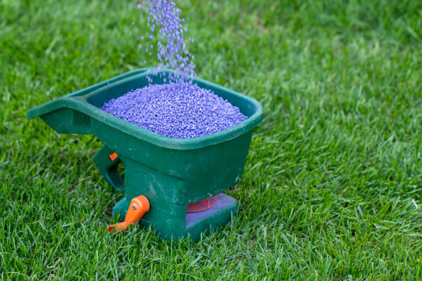 Manual fertilizing of the lawn in back yard in spring time. Close up Manual fertilizing of the lawn in back yard in spring time close up lawn seeder stock pictures, royalty-free photos & images
