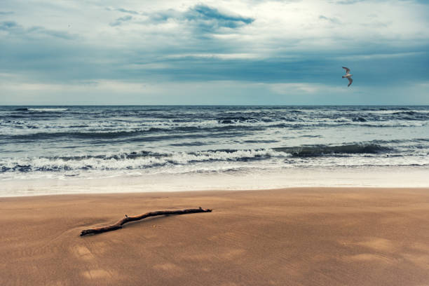 istock Sea coast on a cloudy day 1034257320