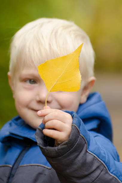 istock Blond boy holds a yellow leaf in front of him. Portrait 1034272692
