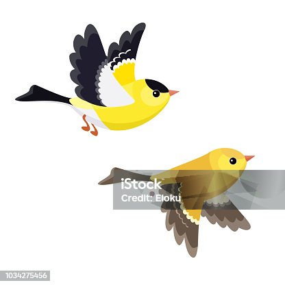 6,100 Yellow Bird Flying Illustrations & Clip Art - iStock | Canary bird,  Hot air balloon