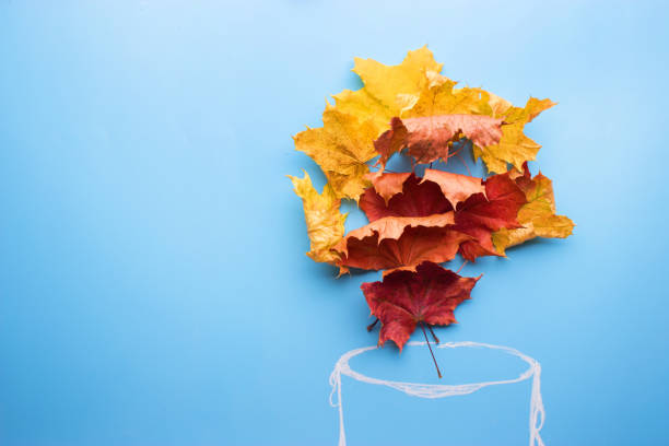 istock autumn leavest like a fire 1034275722