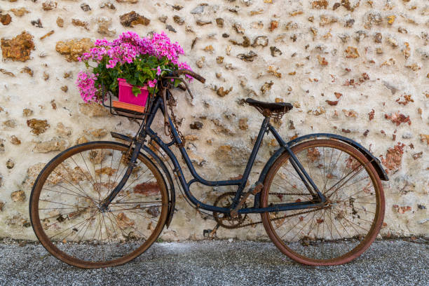 istock Old Bike Flowers 1034278810