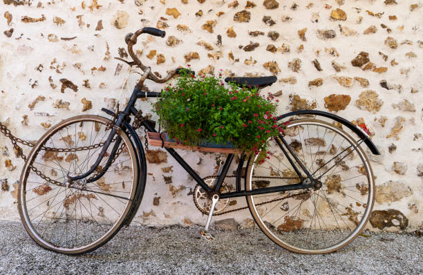 istock Old Bike Flowers Wall 1034278864