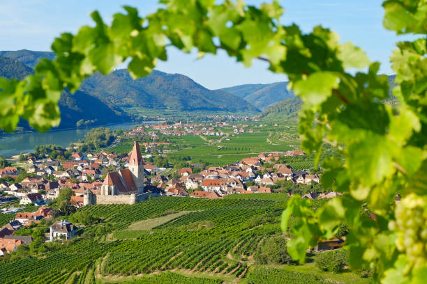 istock View to the famous Danube Valley (Weissenkirchen an der Donau) - Lower Austria 1034283426