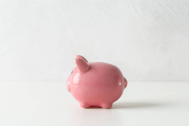 piggy bank isolated on white