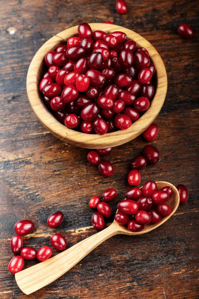 istock Berries of dogwood 1034284016