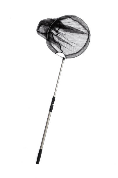 istock Fish net for fishing on a white background 1034294250
