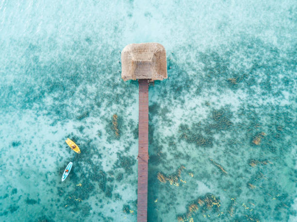 istock Aerial shot of kayaks 1034306836