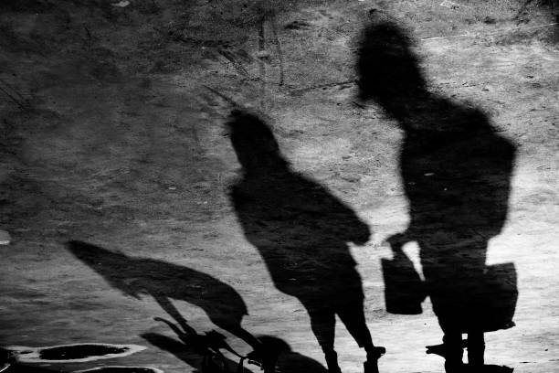 istock Shadows of Family with Cat 1034309432