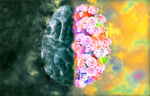 Human brain illustration on top view with monochrome left and full roses right in watercolor style on dark and colorful background