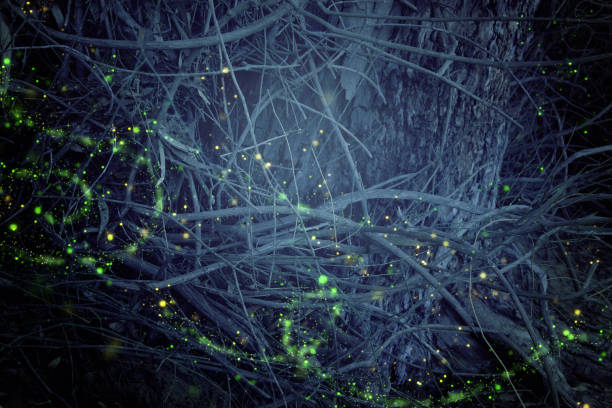 istock Abstract and magical image of Firefly flying in the night forest. Fairy tale concept. 1034318018