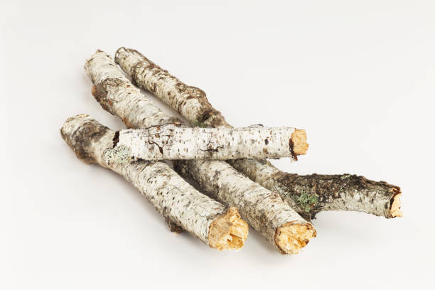 istock Dry birch trunks lie a pile on a white background 1034318060