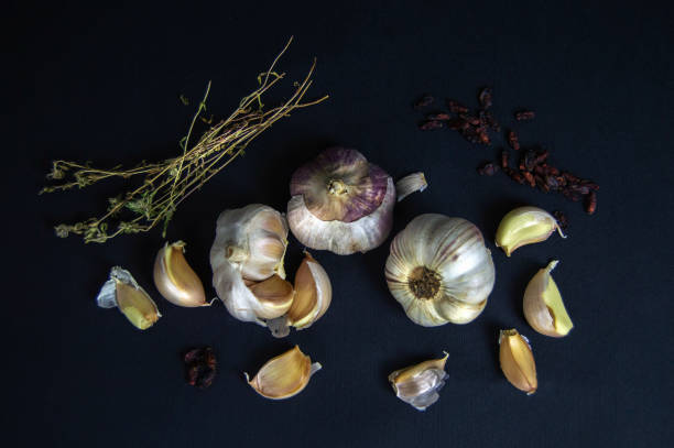 fresh garlic and spices on a dark background stock photo