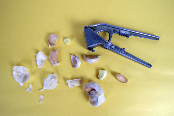 fresh garlic and selected cloves of garlic, as well as garlic press on yellow background stock photo