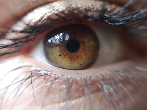 istock Look in my soul 1034323352
