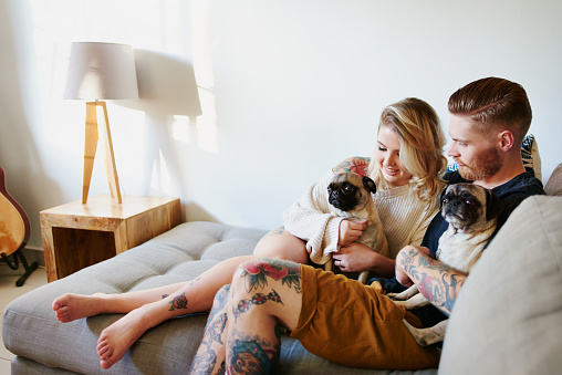 Shot of an affectionate young couple playing with their dogs at home