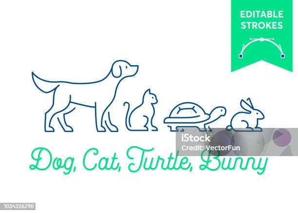 Haustier Symbolsatz Mit Editierbaren Strichen Hund Katze Schildkröte Und Hase Hase Symbole Minimale Hund Pussy Schildkröte Und Hase Umrisse Für Infografiken Oder Webnutzung Pixel Perfekt Flache Bauweise Tierische Illustration Stock Vektor Art und mehr Bilder von Hund