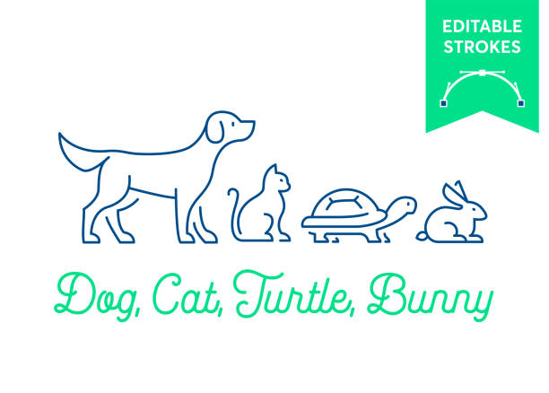 Pet icon set with editable strokes. Dog, cat, turtle and rabbit, bunny symbols. Minimal dog, pussy, tortoise and bunny outlines for infographics or web use. Pixel perfect flat design. Animal illustration Pet icon set with editable strokes. Dog, cat, turtle and rabbit, bunny symbols. Minimal dog, pussy, tortoise and bunny outlines for infographics or web use. Pixel perfect flat design. Animal illustration simple cat line art stock illustrations