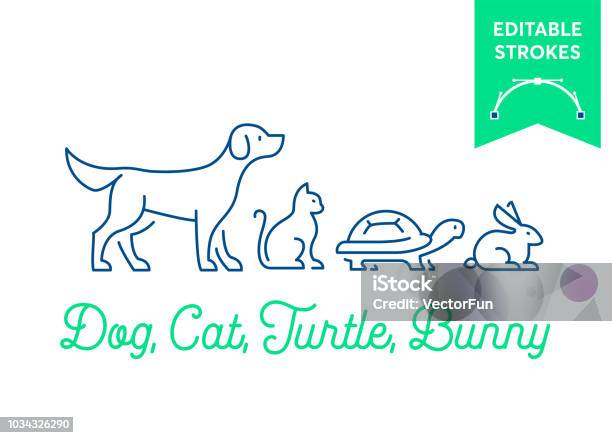 Pet Icon Set With Editable Strokes Dog Cat Turtle And Rabbit Bunny Symbols Minimal Dog Pussy Tortoise And Bunny Outlines For Infographics Or Web Use Pixel Perfect Flat Design Animal Illustration Stock Illustration - Download Image Now
