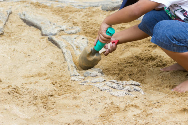 istock Children learning about, Excavating dinosaur fossils simulation 1034329802