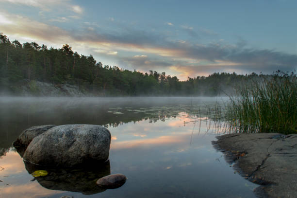 istock Misty morning at Nackareservatet, Sweden 1034330512