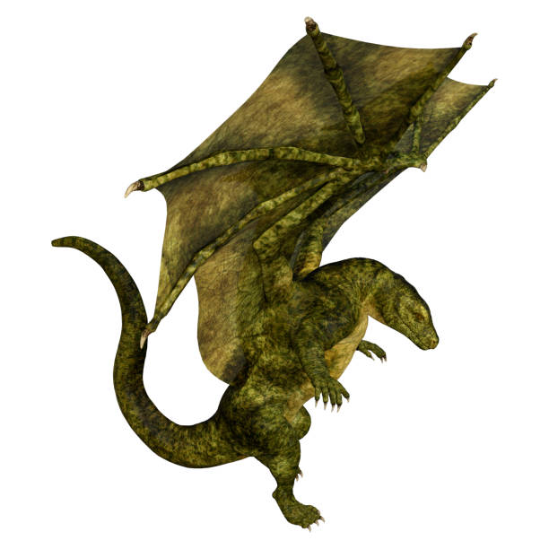 istock 3D illustration fantasy dragon on white 1034337744