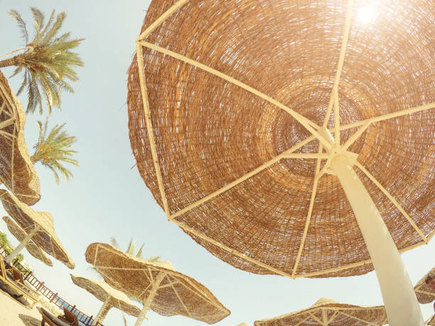 istock Rest on the sea, sunshine 1034338432
