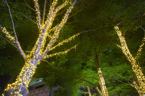 istock Decorative outdoor string lights hanging on tree in the garden at night time 1034341528